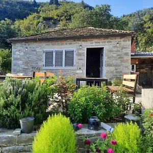 Bujtina Lugina E Vjoses , Përmet Albania